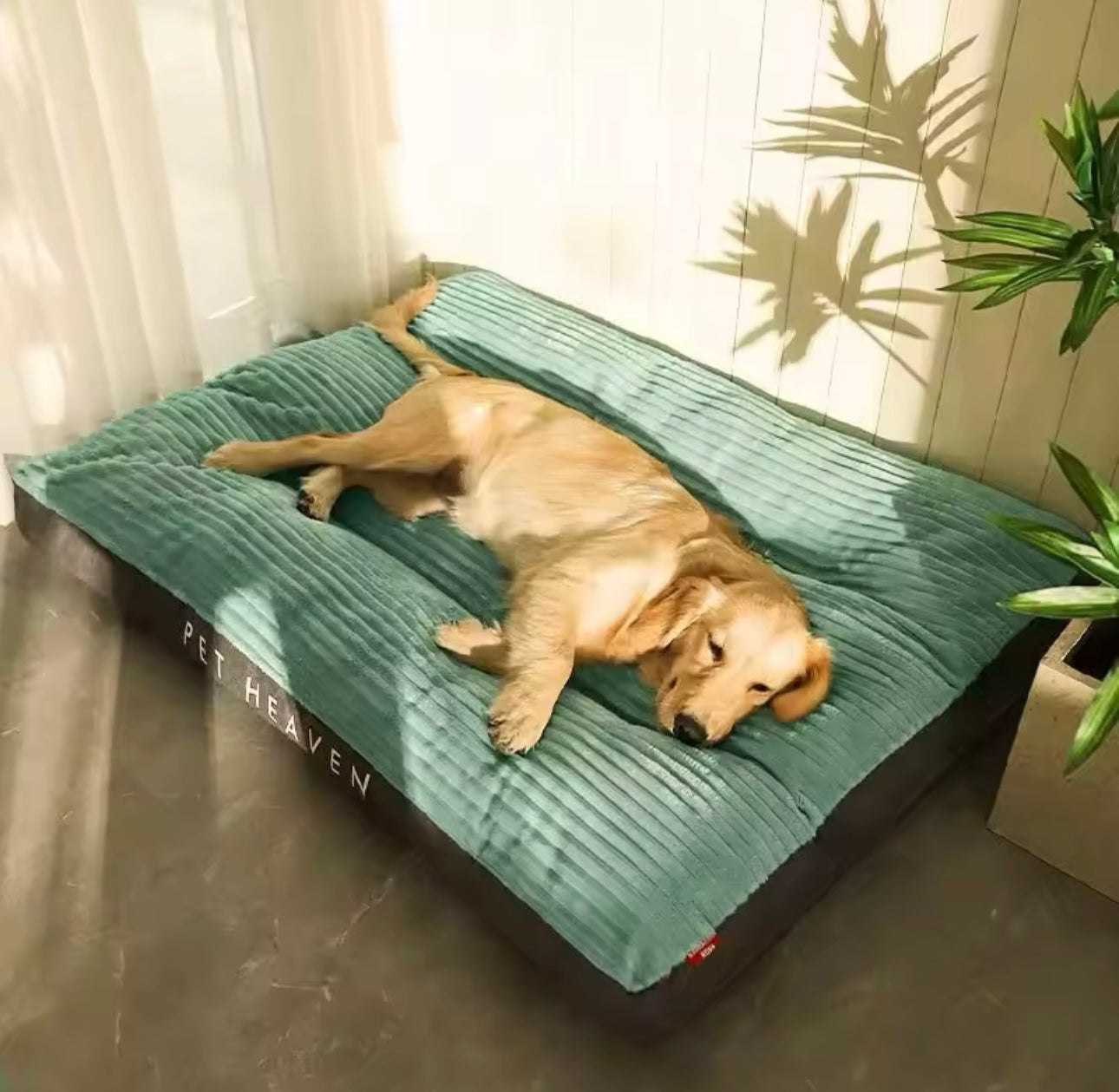 Cloud Rest Bed