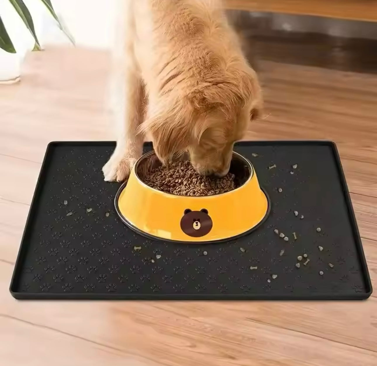 Feeding Mats