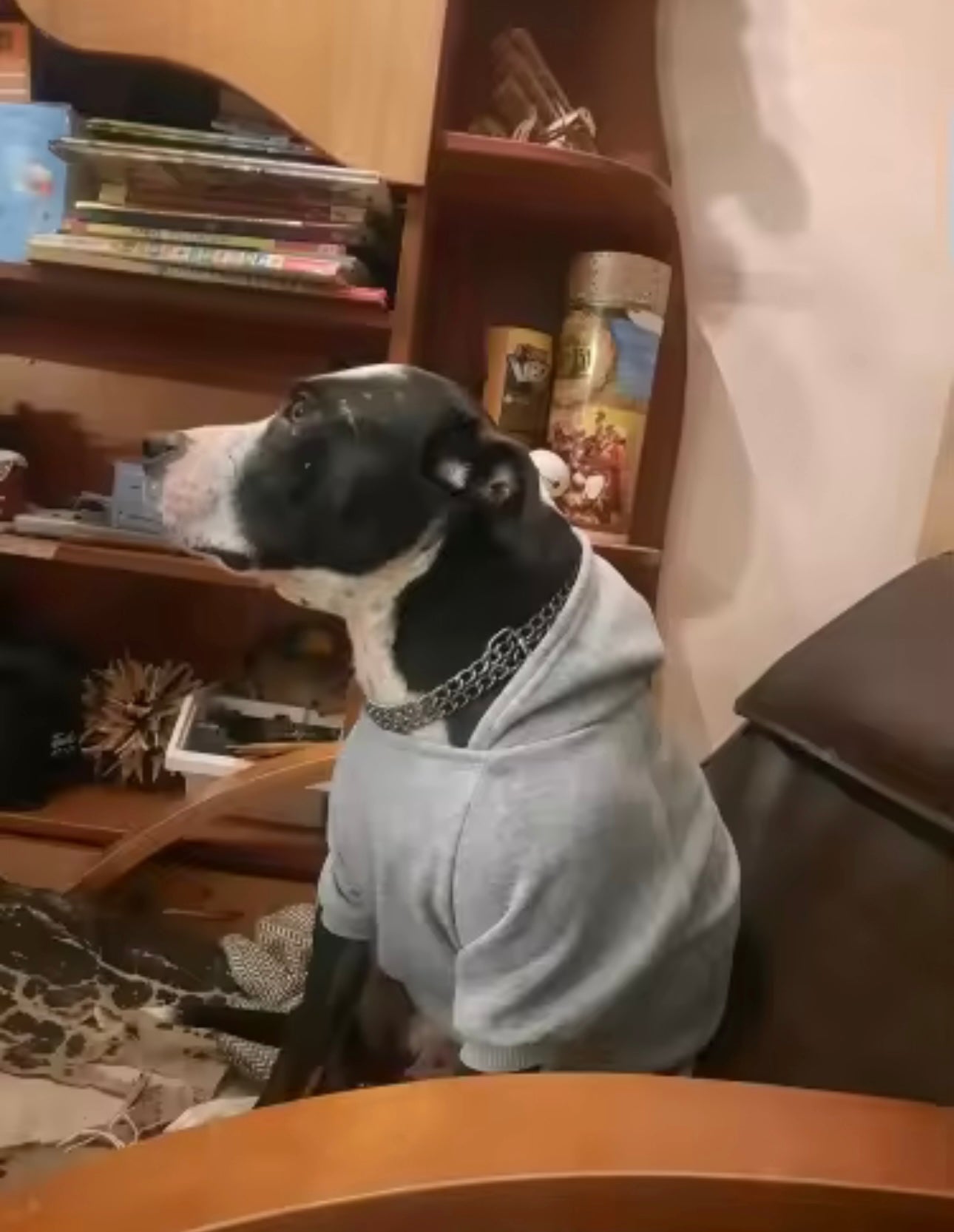 Pawfect Hoodie