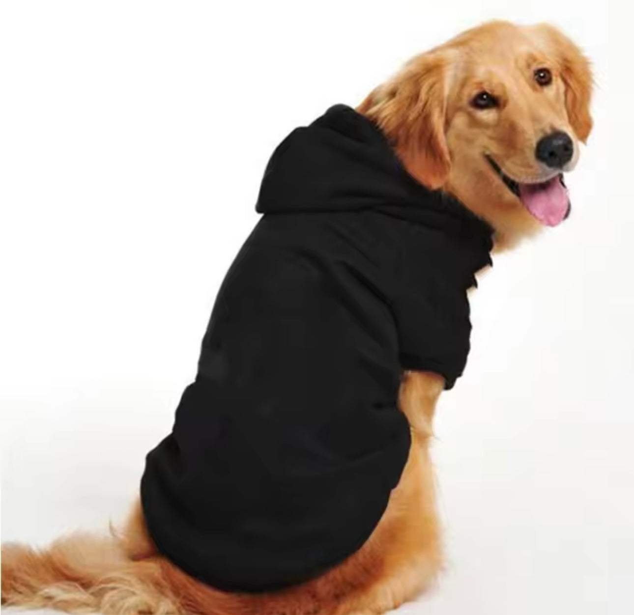 Pawfect Hoodie
