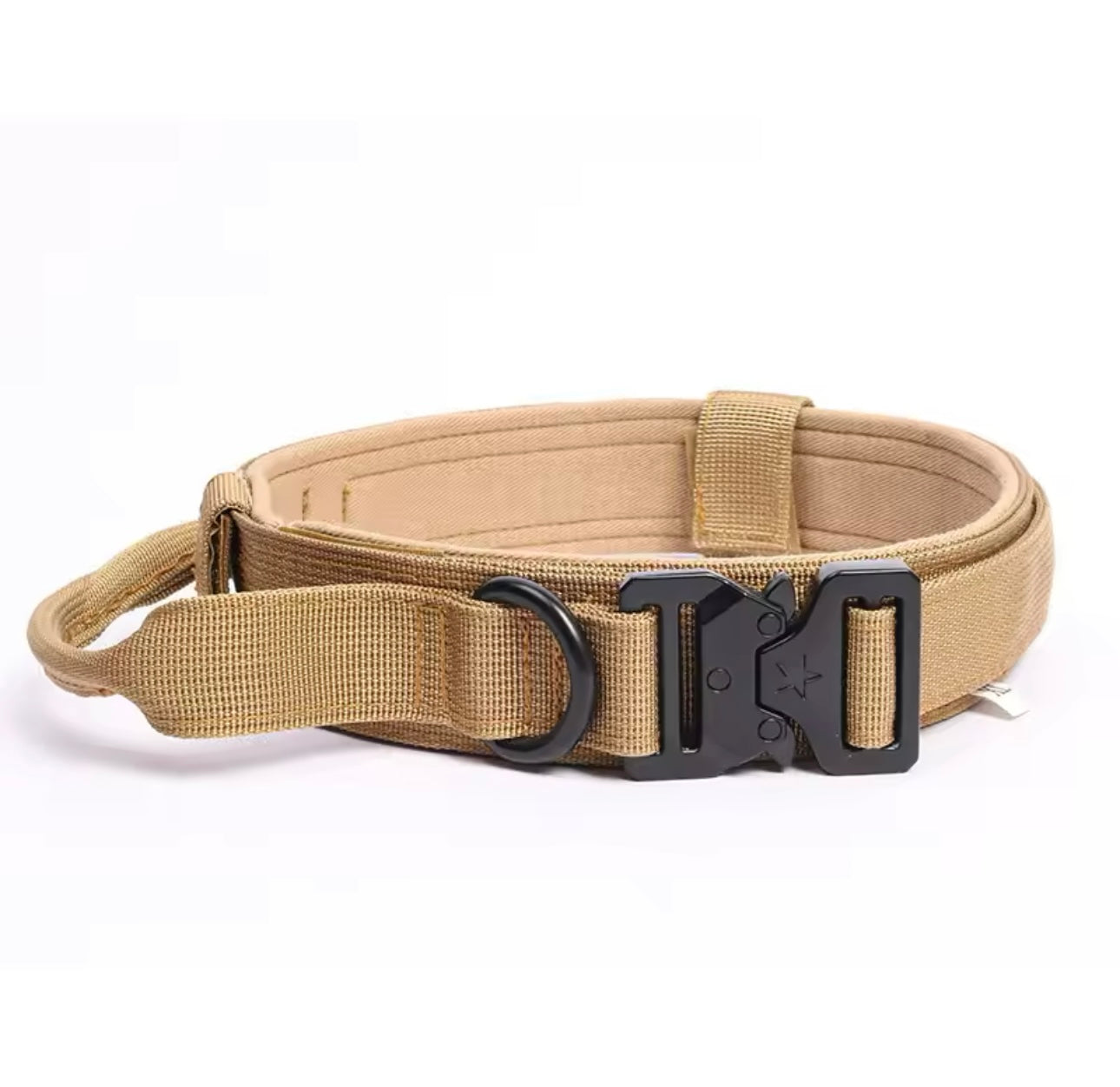 Dog Collars