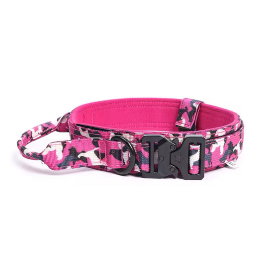 Dog Collars