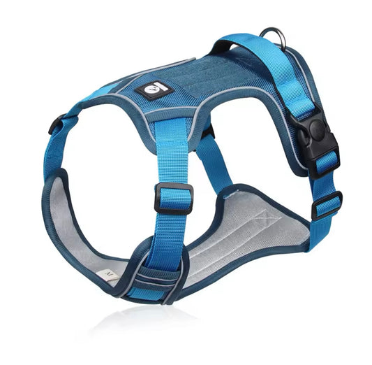Easy Walk Harness