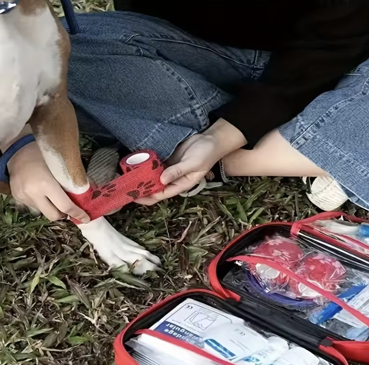 Pet First Aid Kit