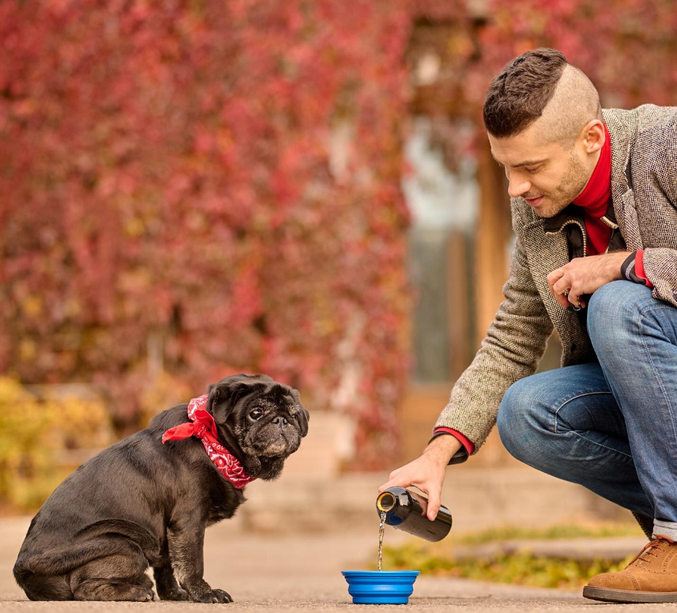 Portable Collapsable Drink Bowl